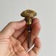 Set of 5 antique brass furniture knobs