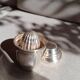 Silver metal citrus press tumbler