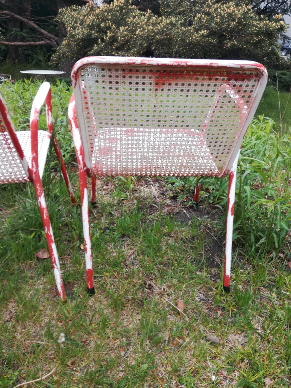 Pair of armchairs EMU 1950