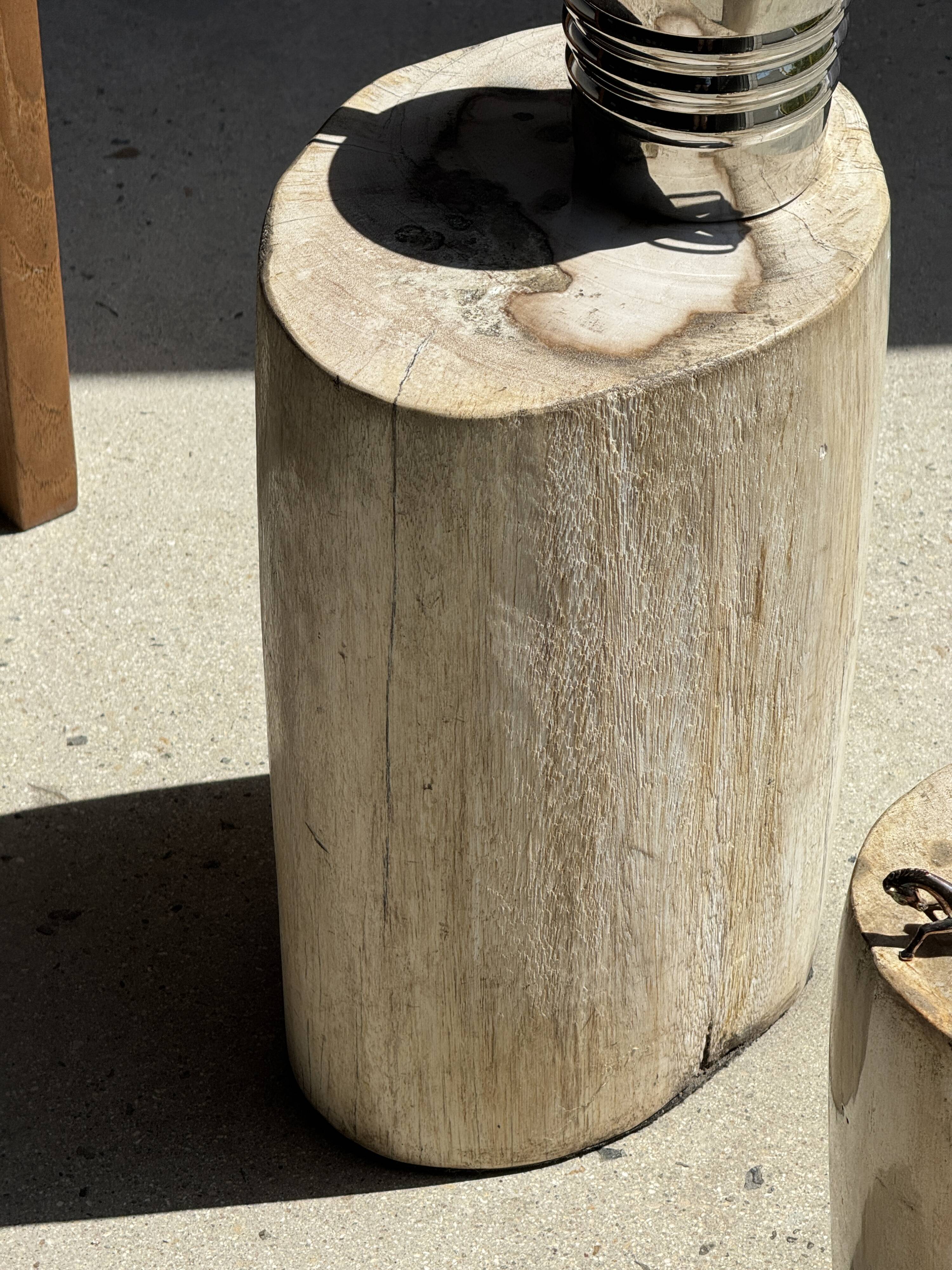 White oval petrified wood side table H38 D28 - 3335