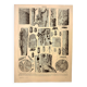 Antique engraving 1928 A. Millot - Wood-boring insects 1, damage to trees