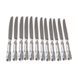 12 silver metal knives