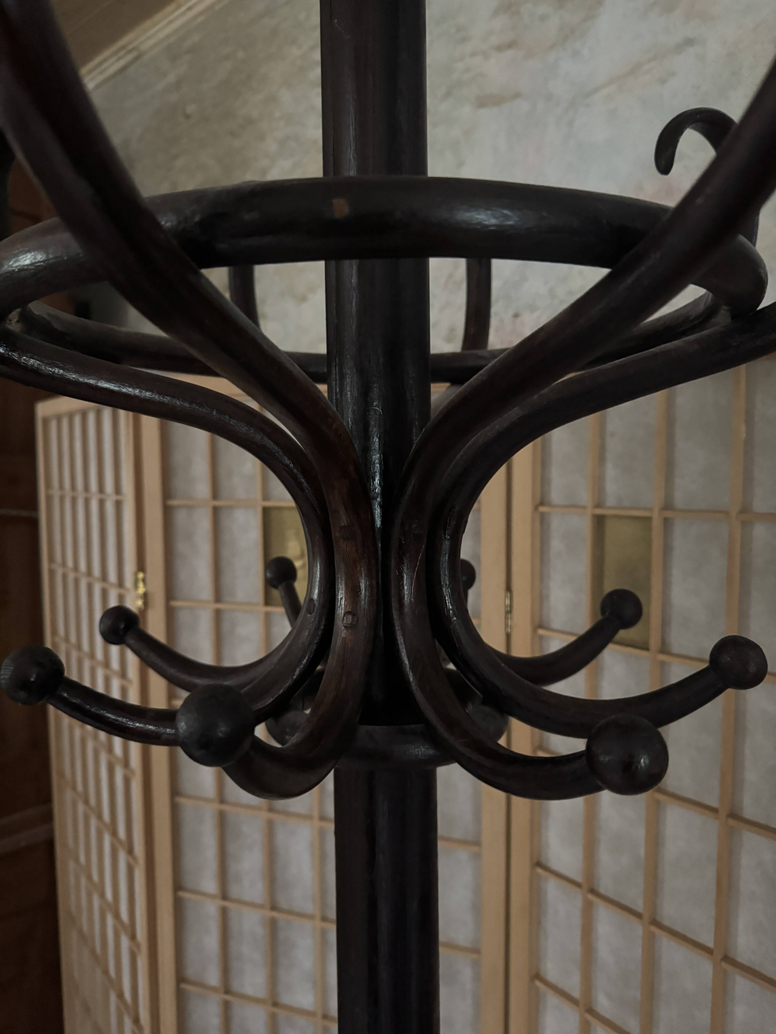 Portemanteau perroquet Thonet