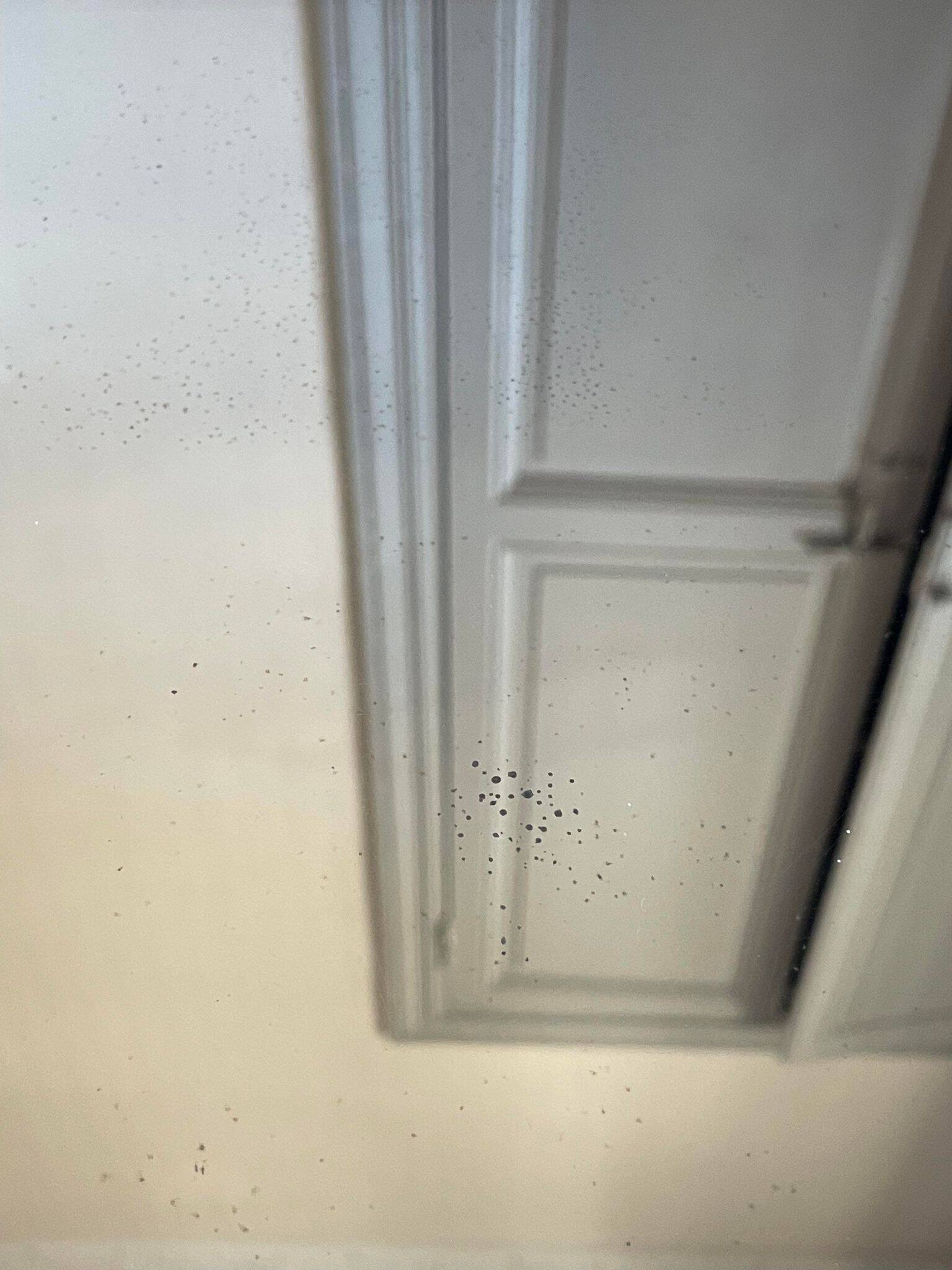 Old mirror with golden wooden frame