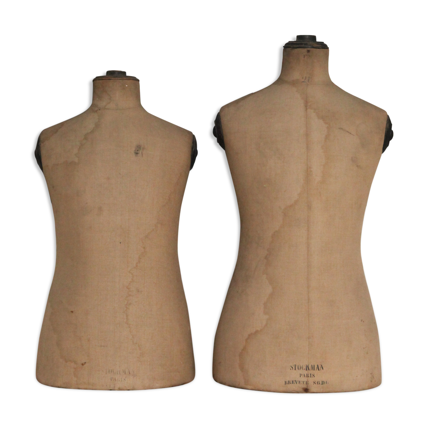 Stockman Children's Sewing Busts