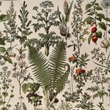 Lithograph on medicinal plants (absinthe) - 1930