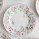 Set of 6 dessert plates Churchill, briar rose