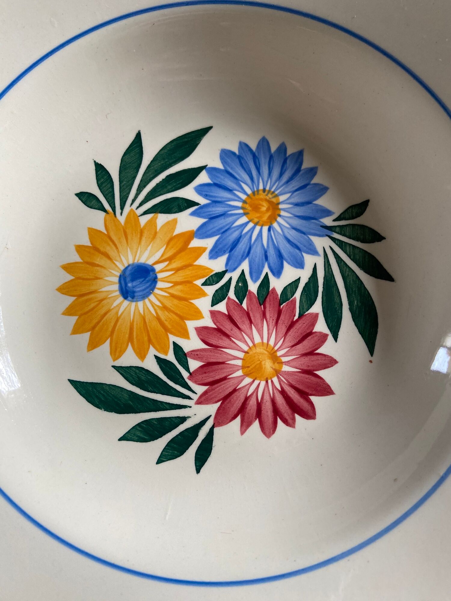 Iron earth plates Blue and pink floral pattern 10 pieces