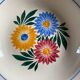 Iron earth plates Blue and pink floral pattern 10 pieces