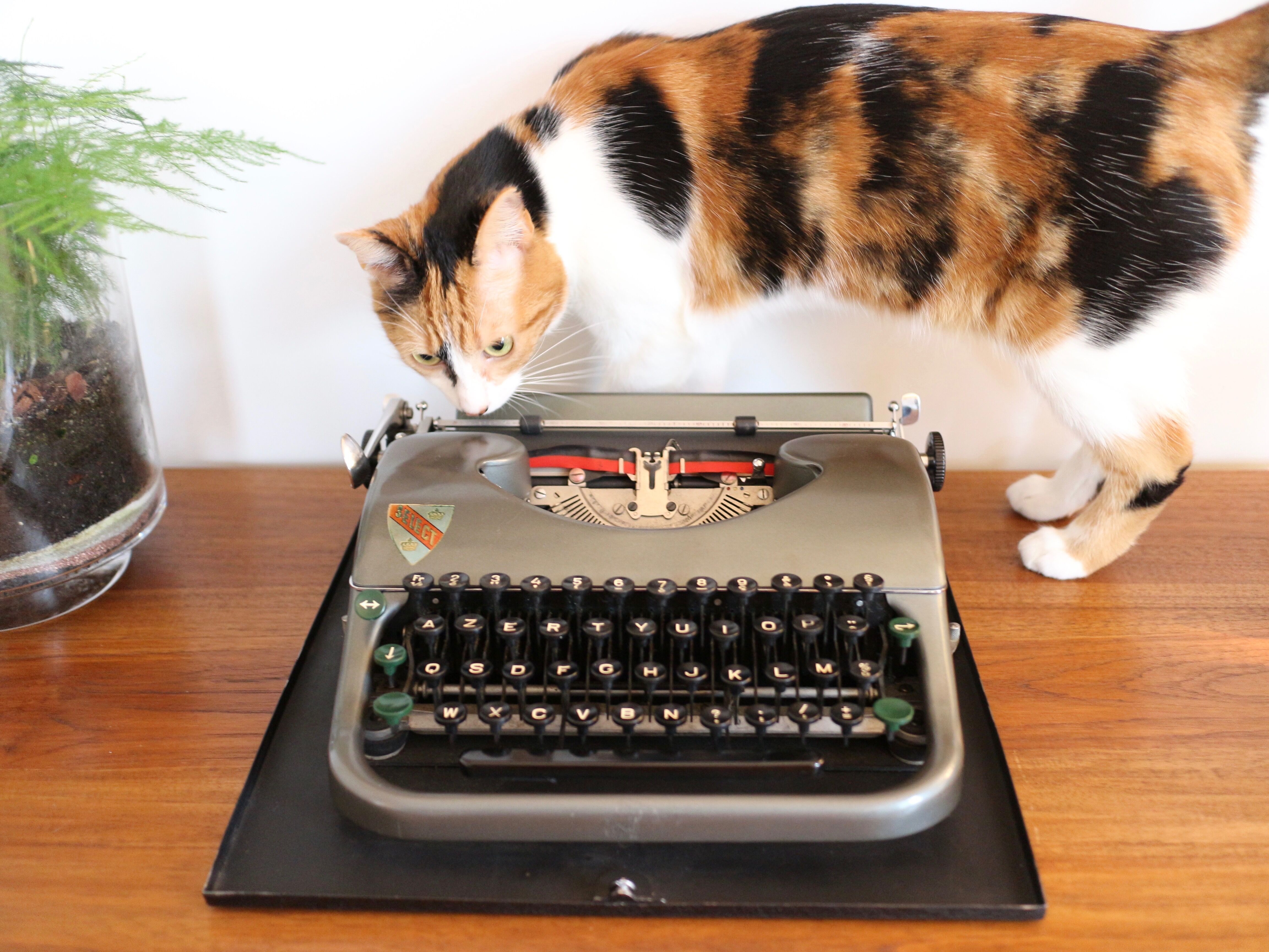 Collectible typewriter, personal Japy or P68, select grey metal model