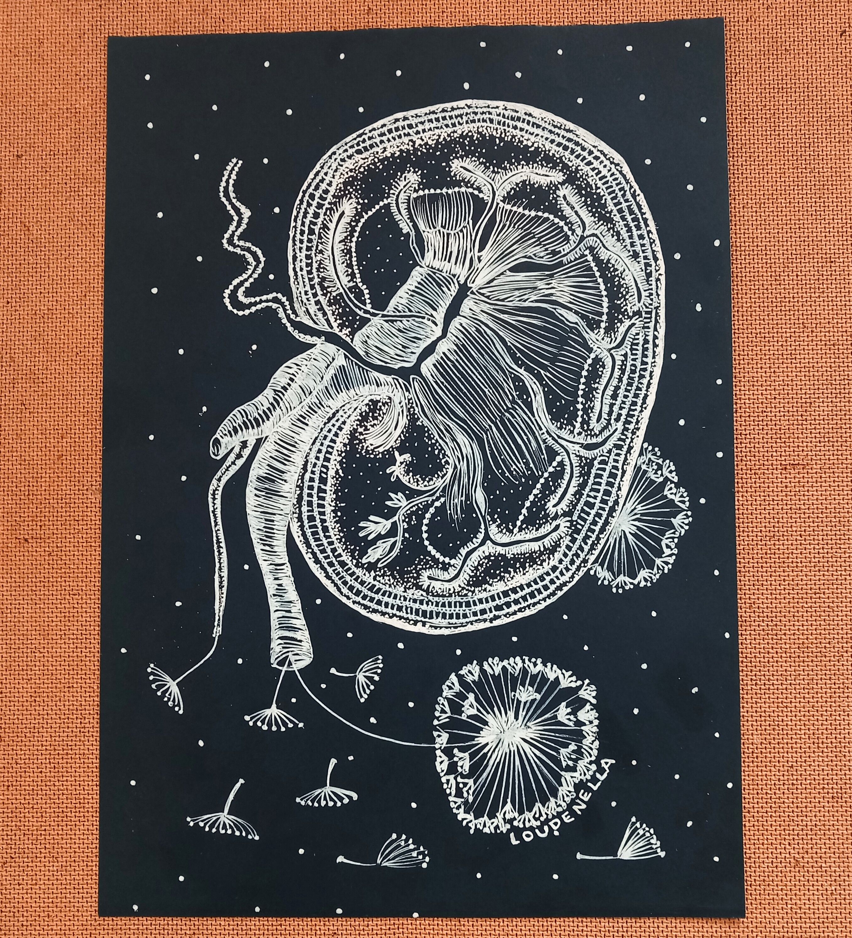 Litography made with posca on black paper The kidney