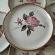 6 vintage stoneware dinner plates – Rosita model by MBFA Pornic