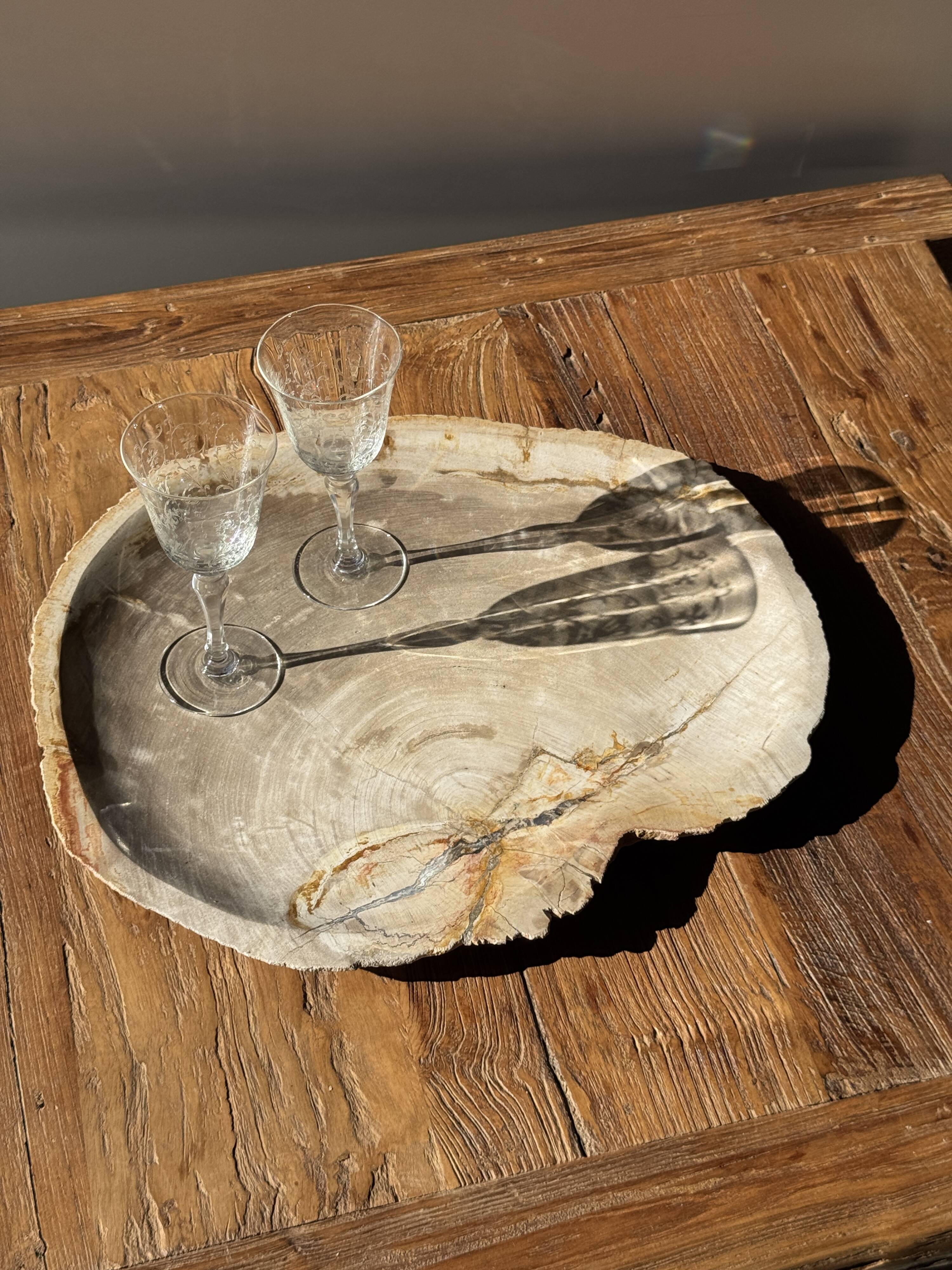 Very large pocket tray or dish in beige petrified wood D35