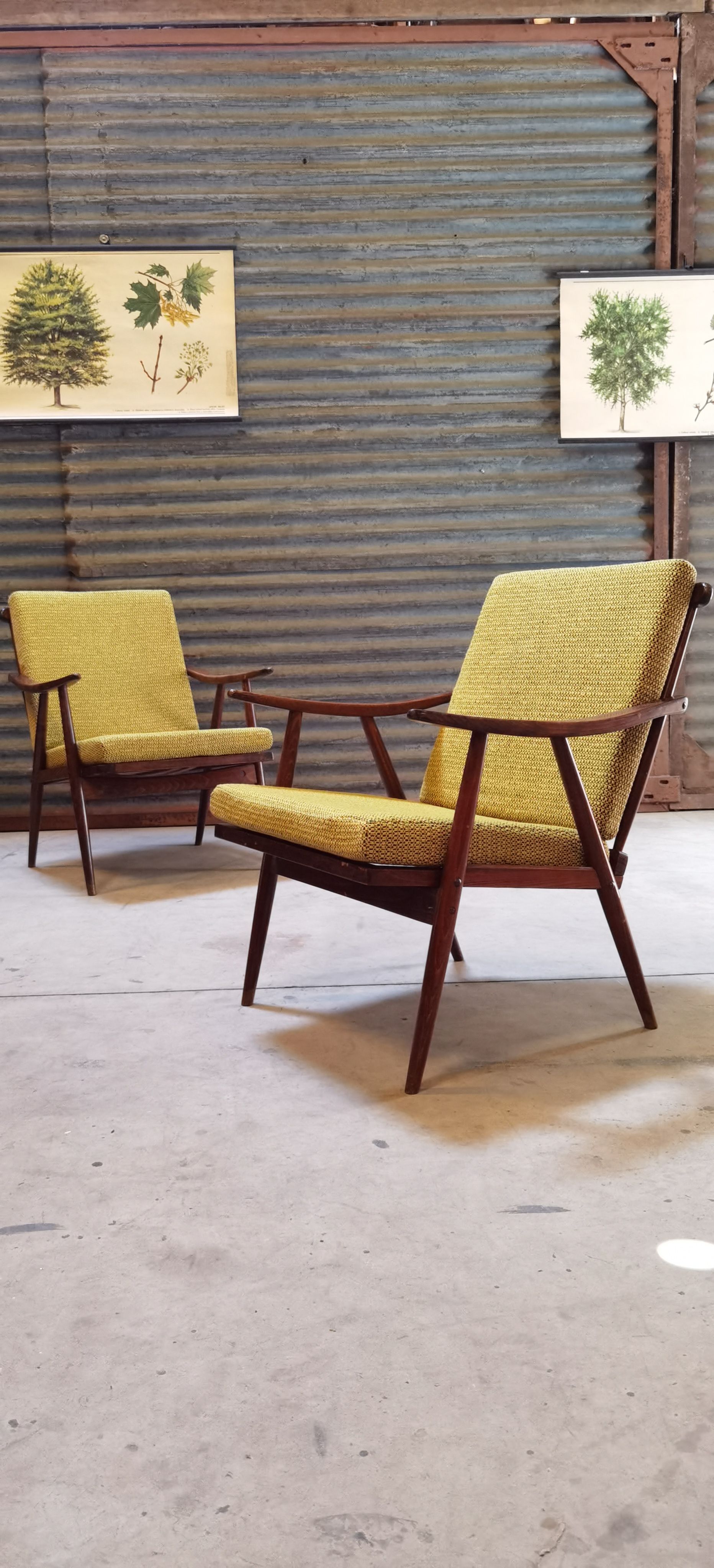 Pair of boomerang armchairs TON Bystřice (Thonet) by Antonin Suman 1960