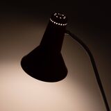Grasshopper Tripod Floor Lamp by Willem Hagoort, Holland, 1950s
