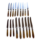 18 Wiskemann table knives in horn