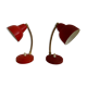 Duo lampes cocotte vintage
