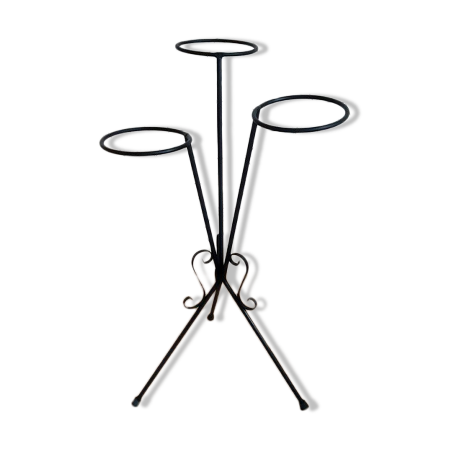 Plant holder in black wrought iron.