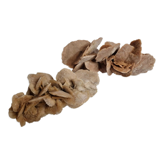 Set of two sand roses, 27 cm