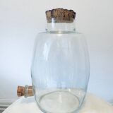 Terrarium verre