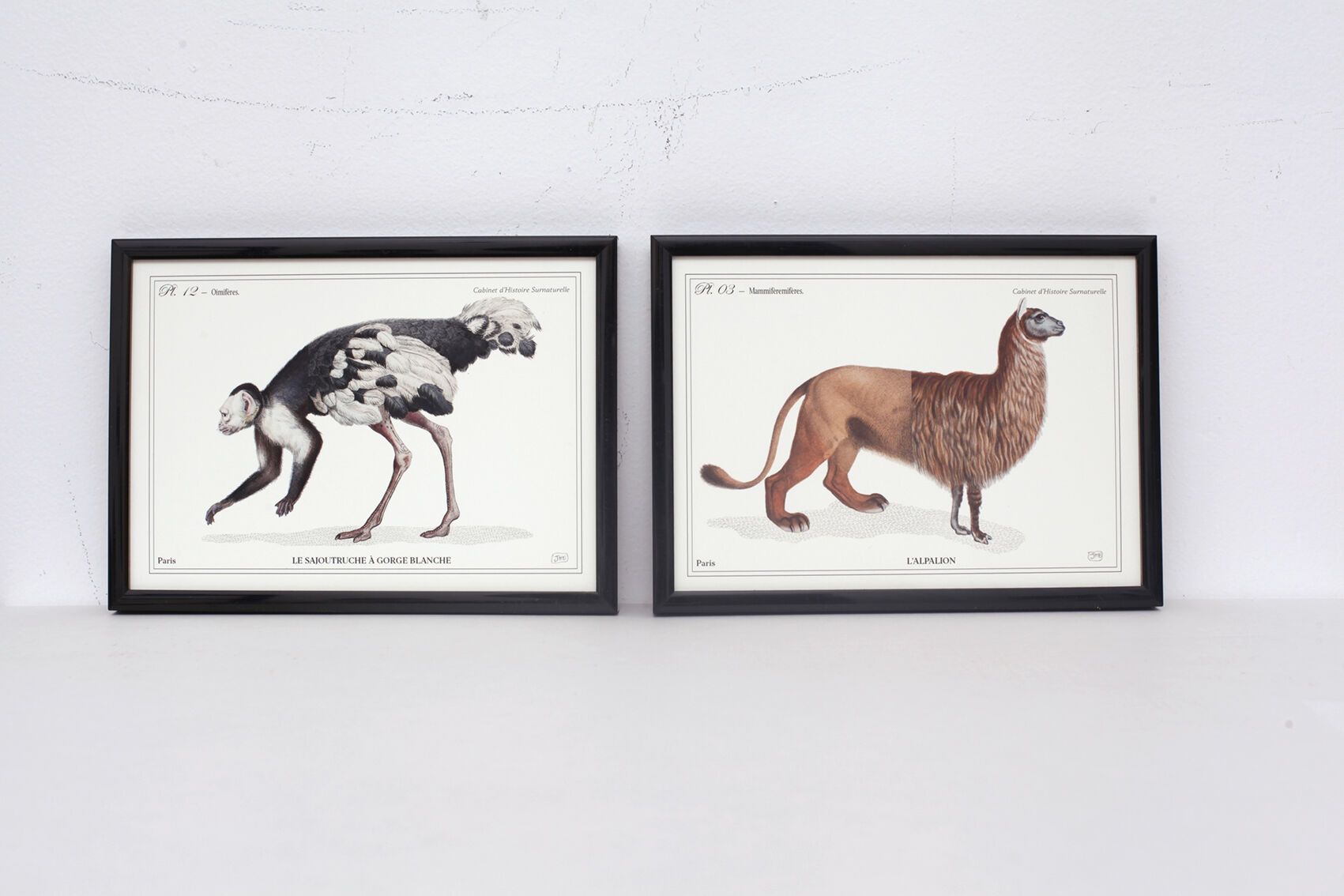 Set of 2 framed chimera lithography animal engraving