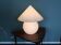 Peil & Putzler vintage desk lamp