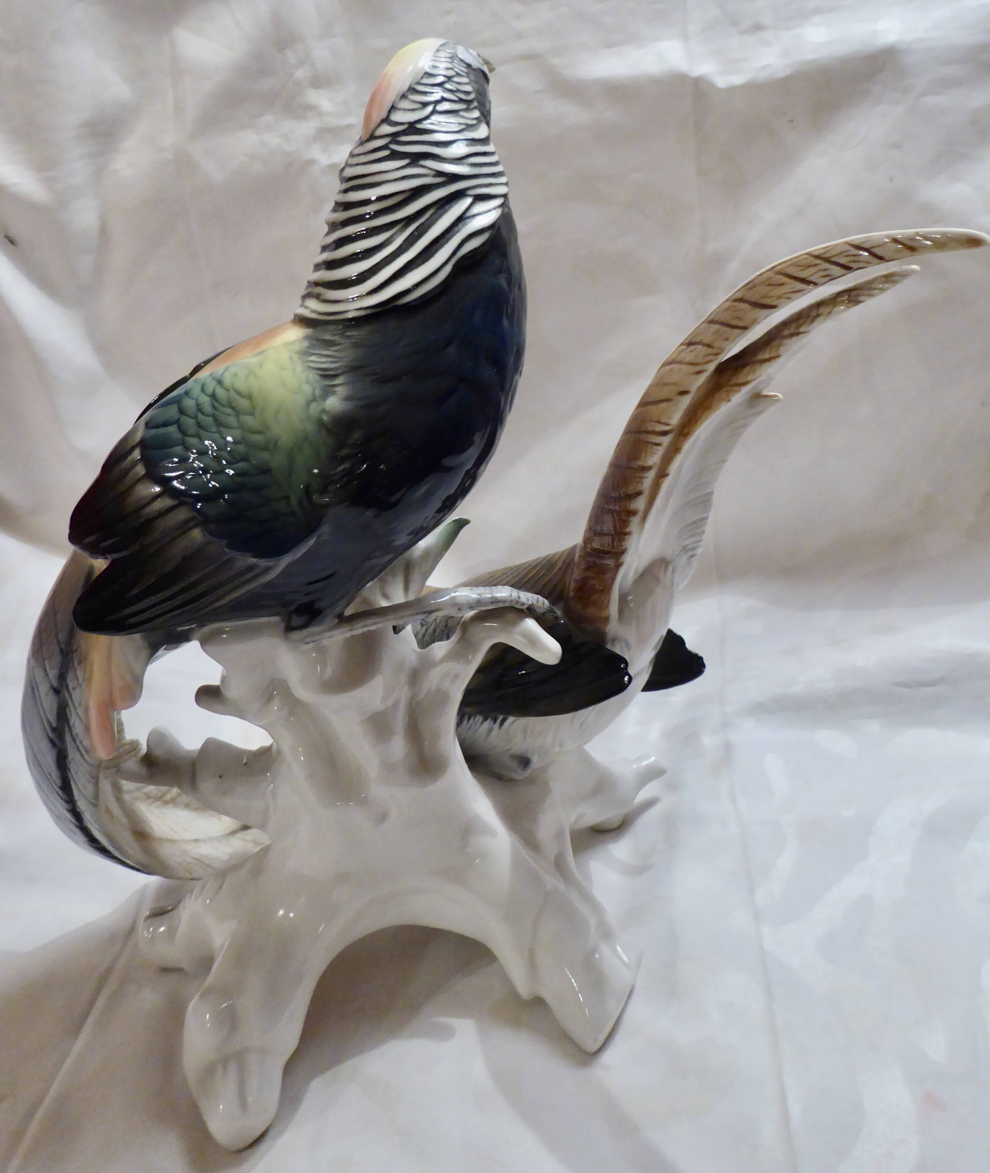 Pair of porcelain birds from Saxony