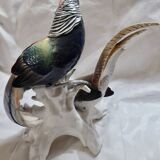 Pair of porcelain birds from Saxony