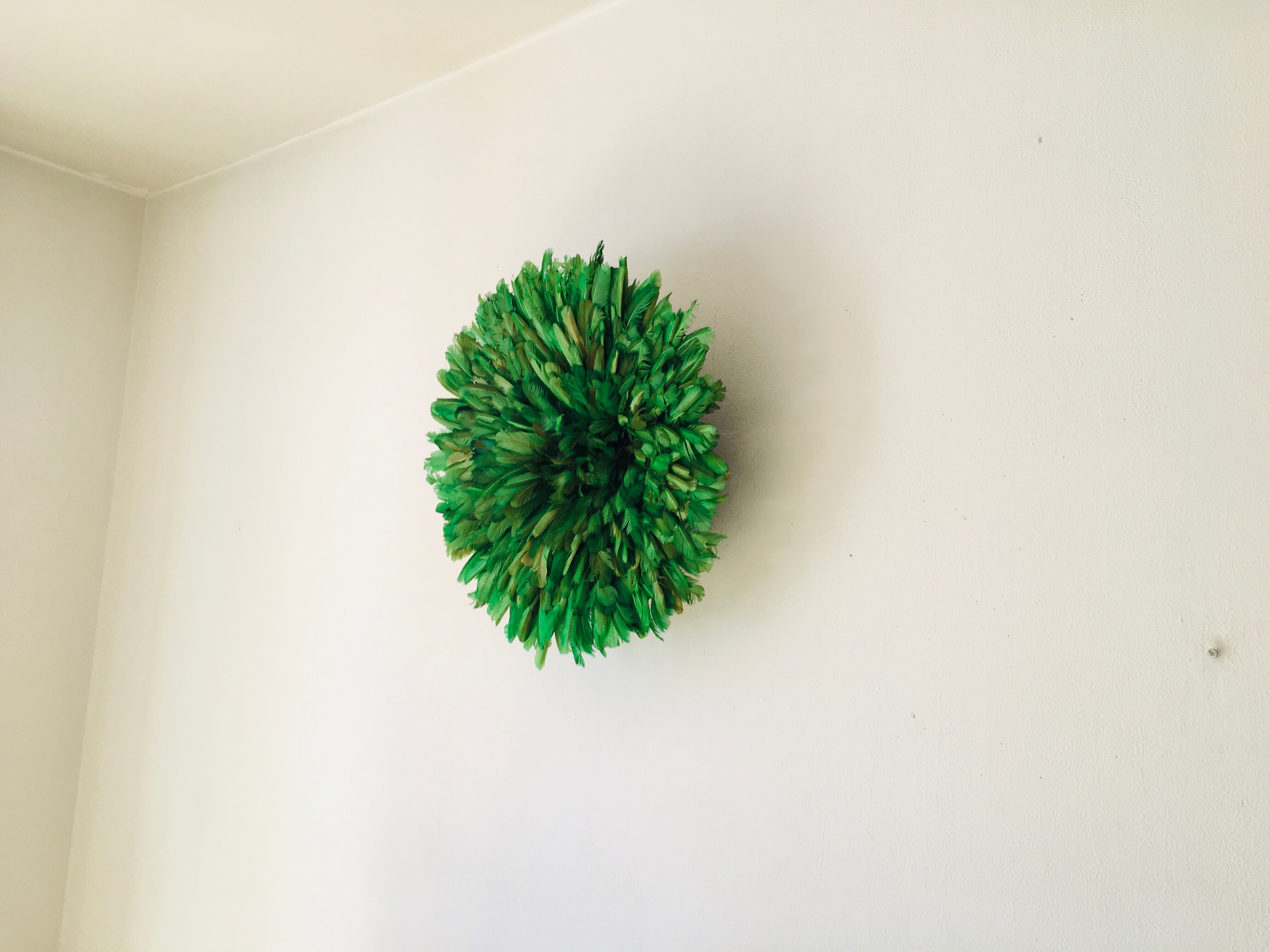 Juju hat vert 50 cm