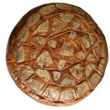 Moroccan pouf in natural leather