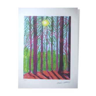 Lithograph by David Hockney, signed and numbered.