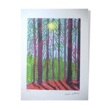 Lithographie de David Hockney signée et numérotée