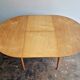 Extendable TB05 dining table by Cees Braakman for Pastoe, 1950's