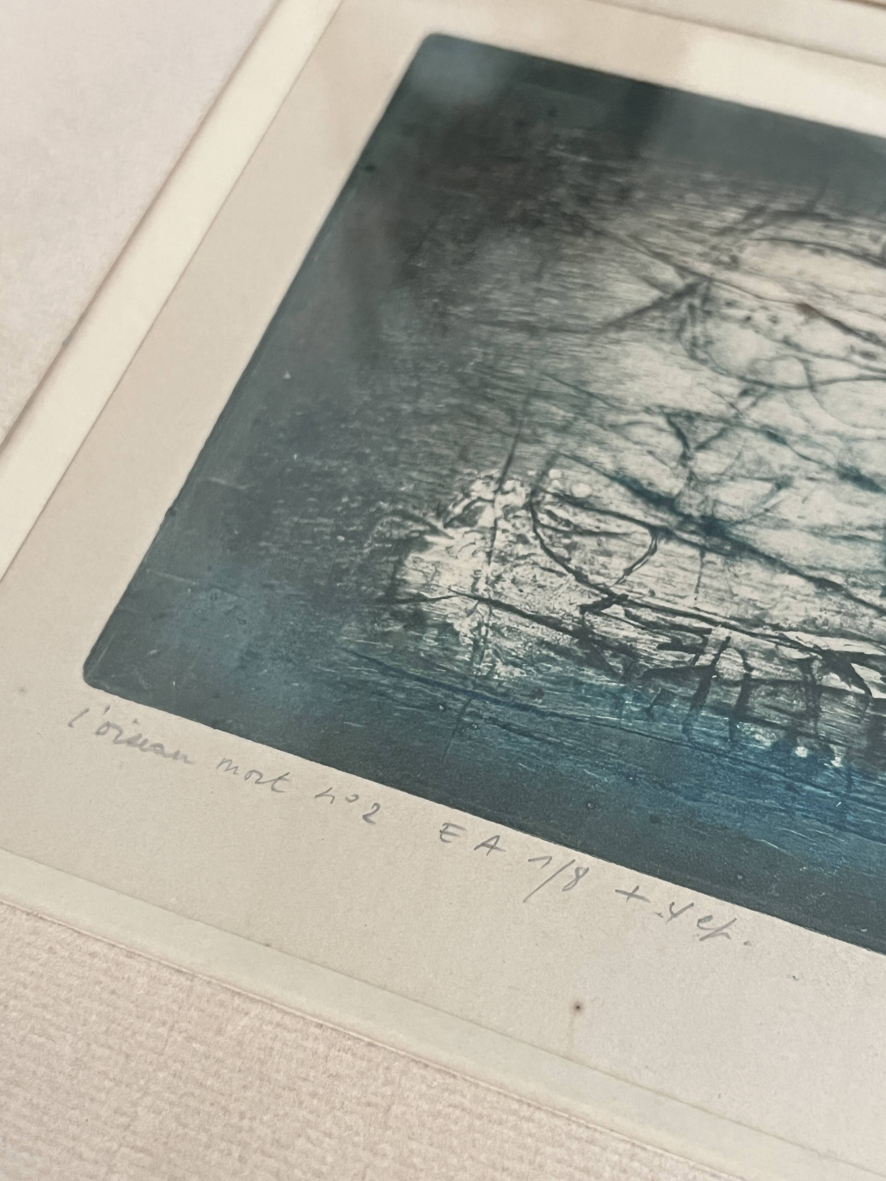 1/8 lithograph framed and signed by the artist oil and mixed media