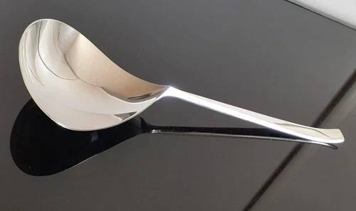 Ercuis silversmith / Serving spoons 26.5 cm in silver-plated metal