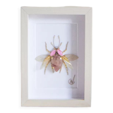 Haute couture embroidery