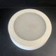 Lacquered metal Holophane ceiling light