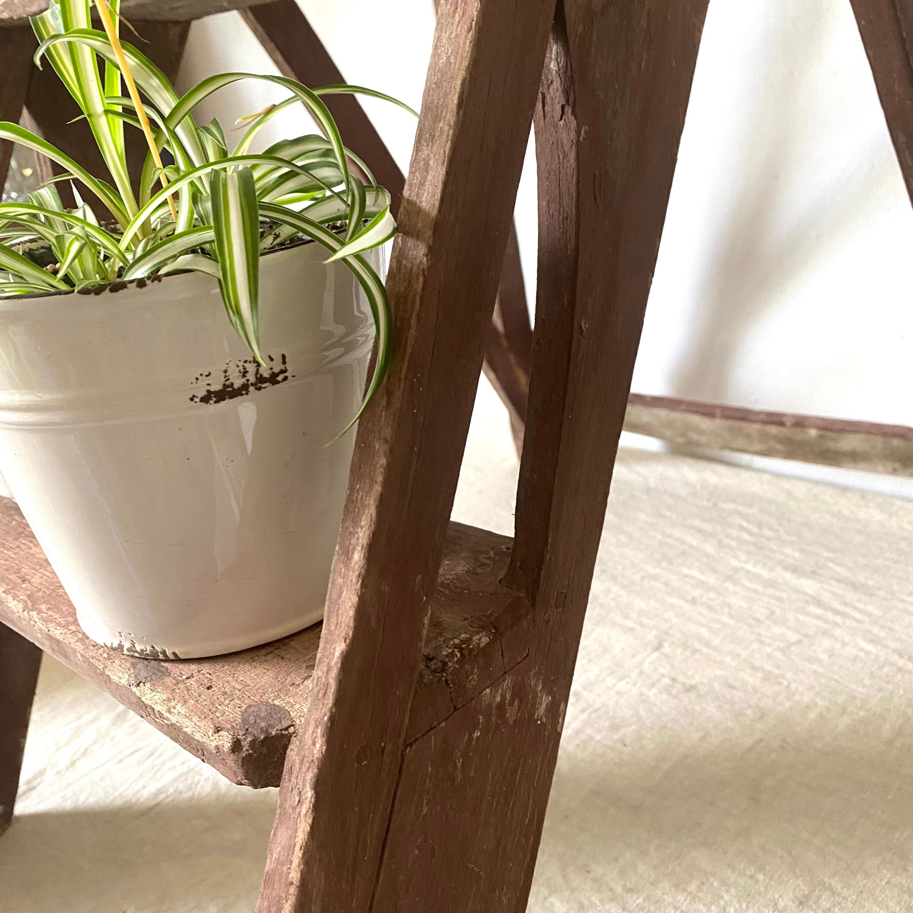 Ancient painter's stepladder