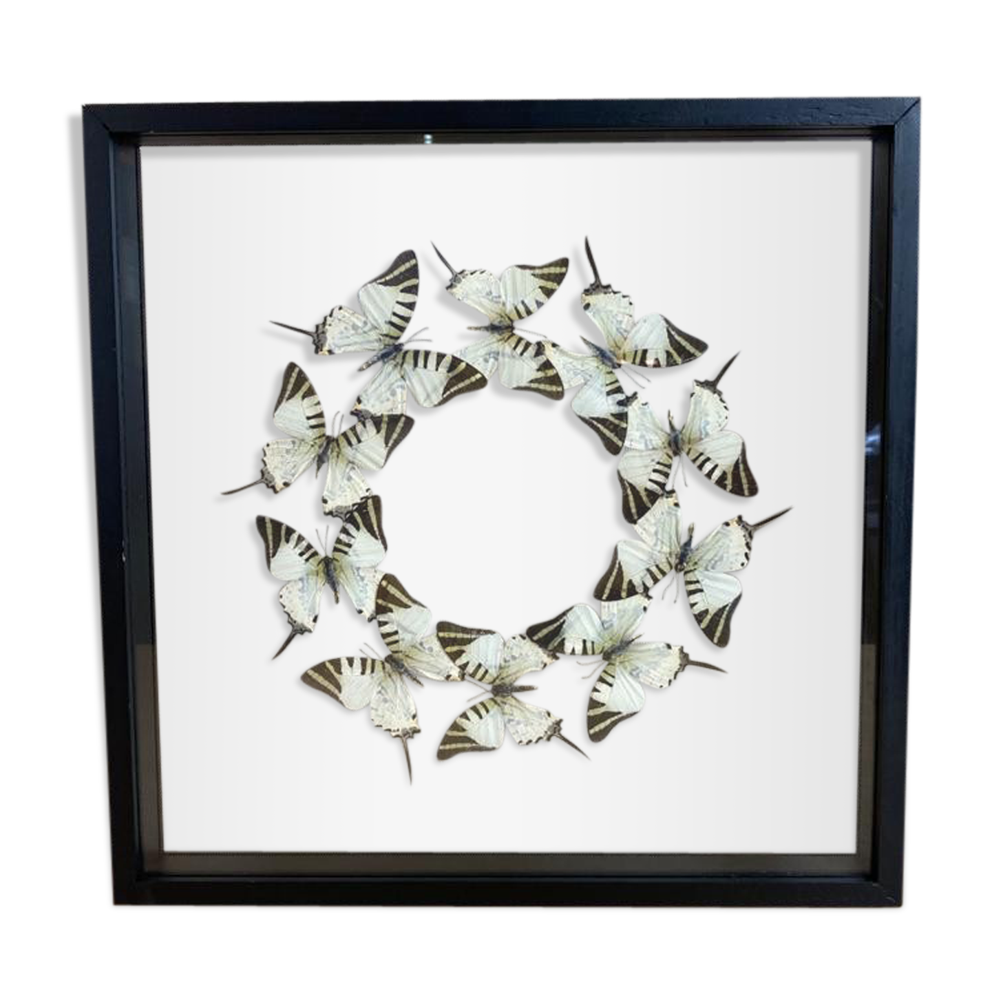 Butterfly frame