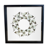 Butterfly frame