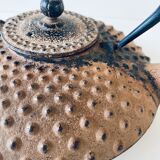 Ancient Japanese teapot in cast iron