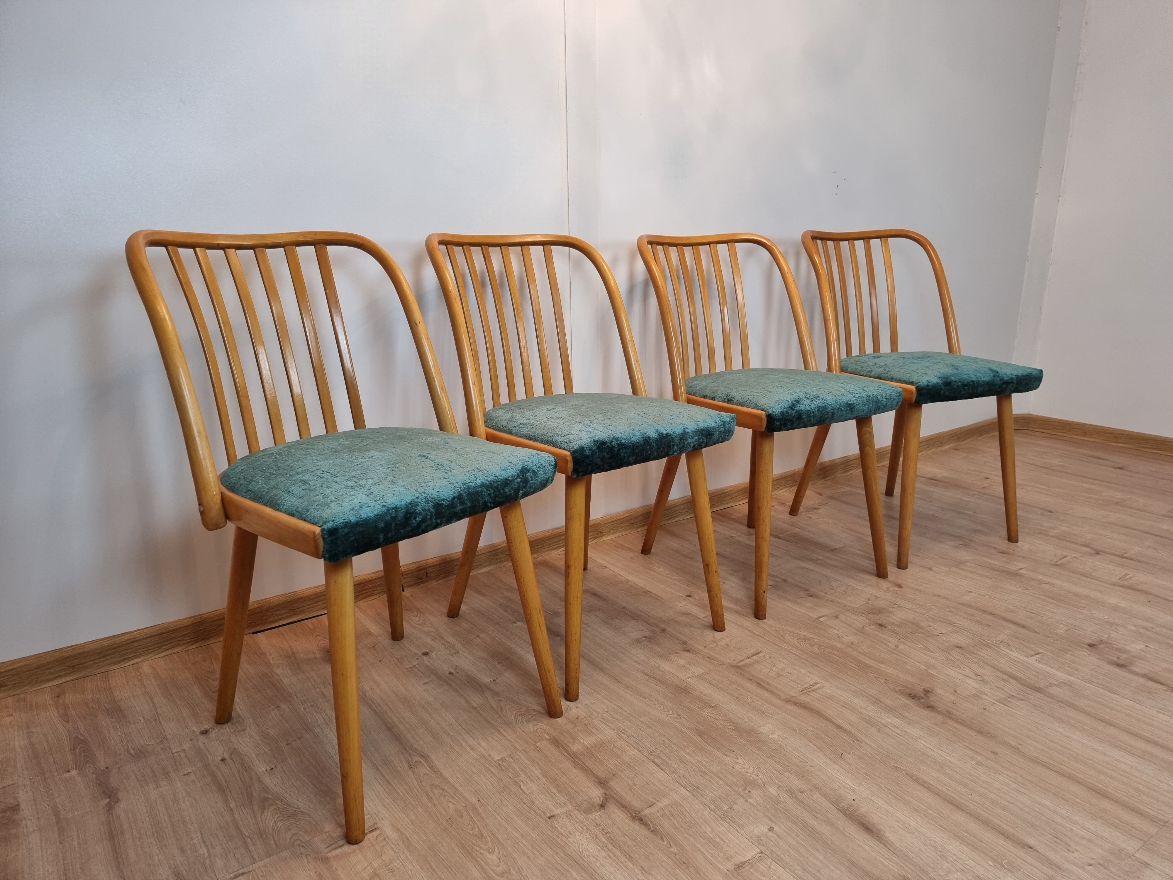 Antonin Suman dining chairs