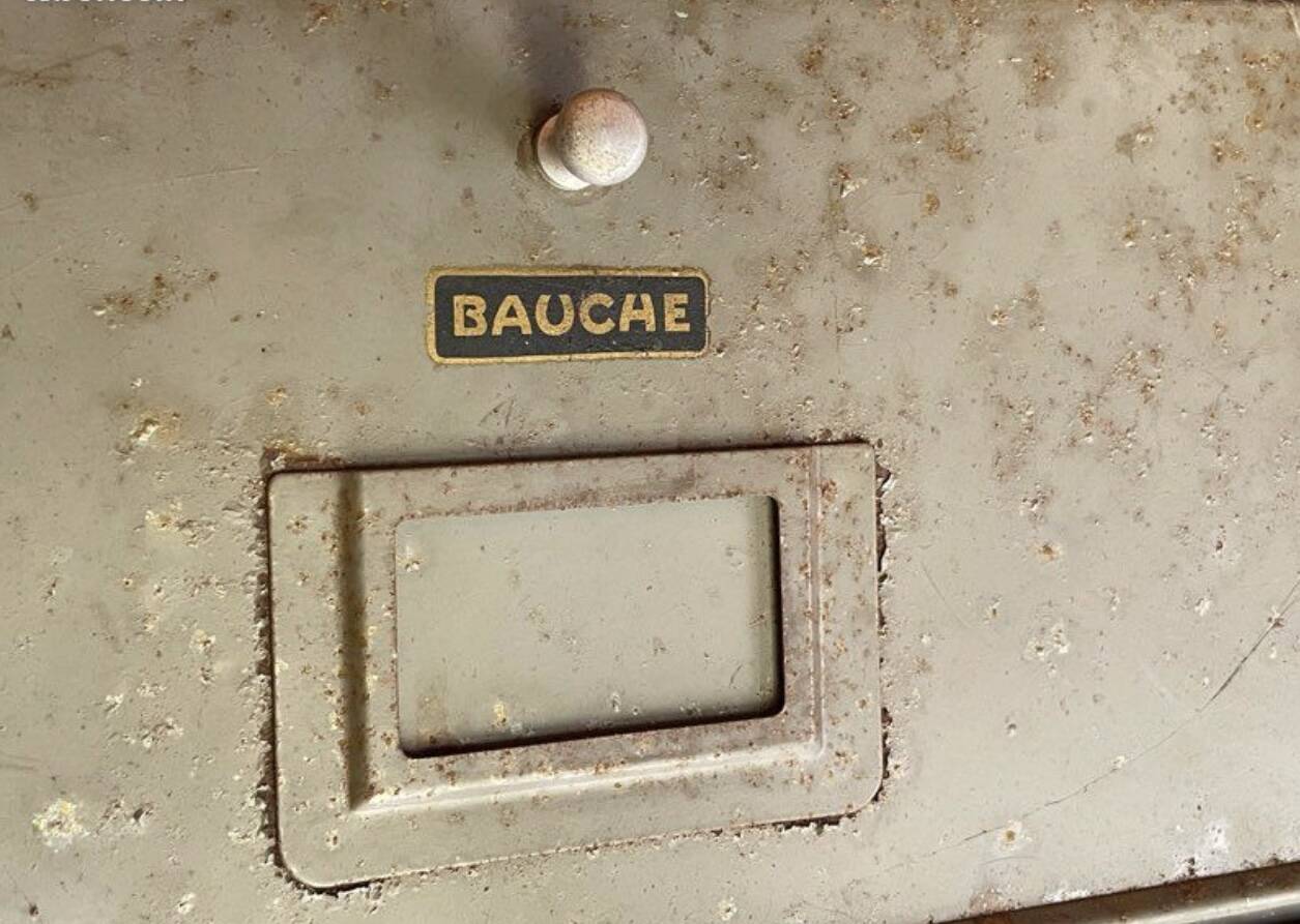 50s Bauche wardrobe with flaps