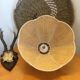 Rotin flower hanging lamp