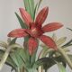 5 Light Vintage Italian Chandelier, Mathias Metal Bouquet, Pink Flowers