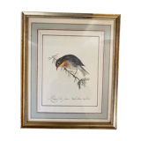 Lithographic frame Nightingale of Japan.