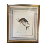Lithographic frame Nightingale of Japan.