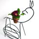 original plant door or rack magazine bambi or donkey? It's up to you!