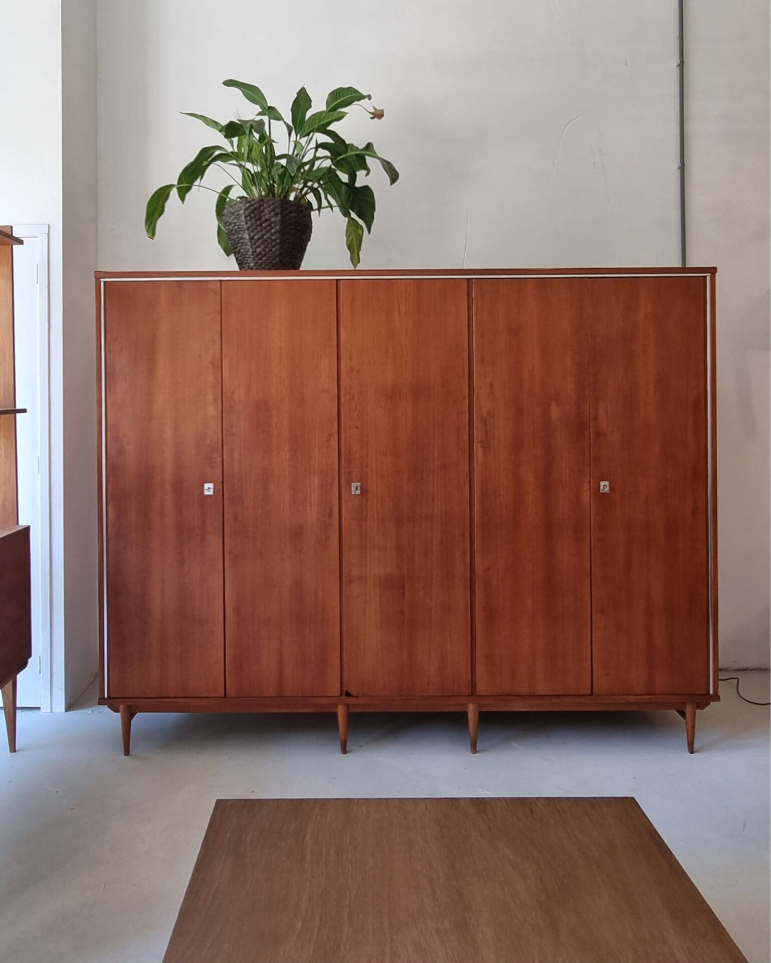 Mid-century wardrobe