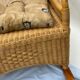 Rocking-chair vintage rotin et teck